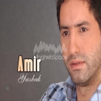 Amir yazbek sur yala.fm